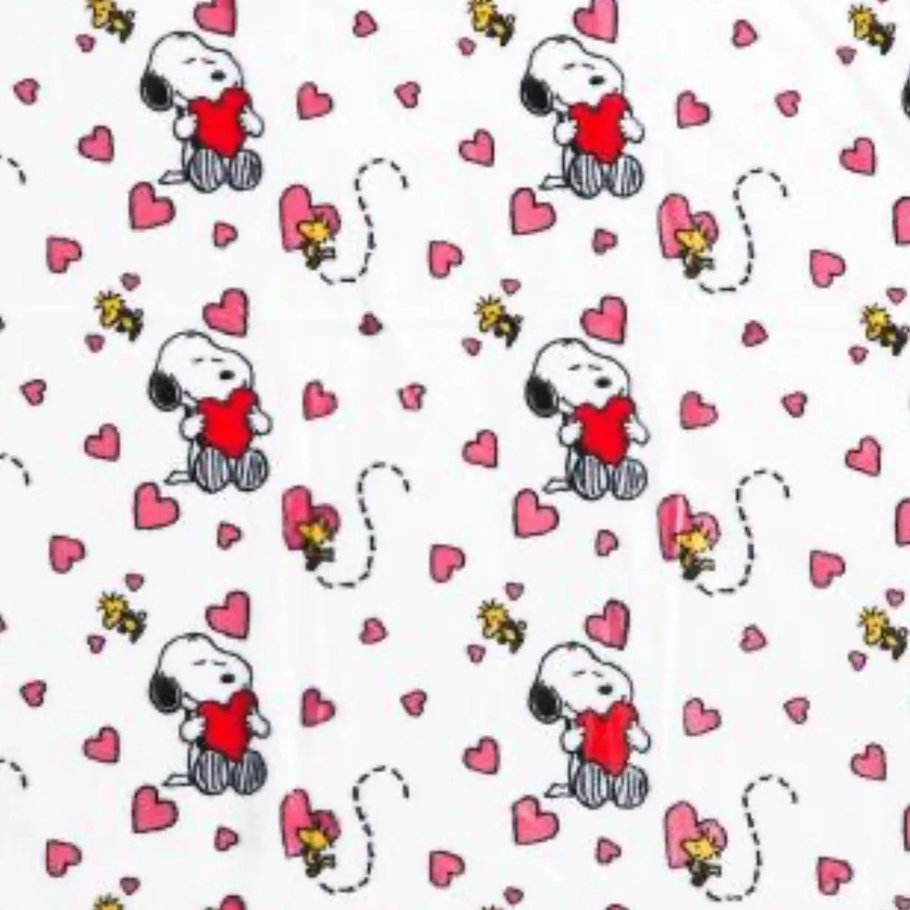 Peanuts Snoopy and Woodstock Heart Blanket